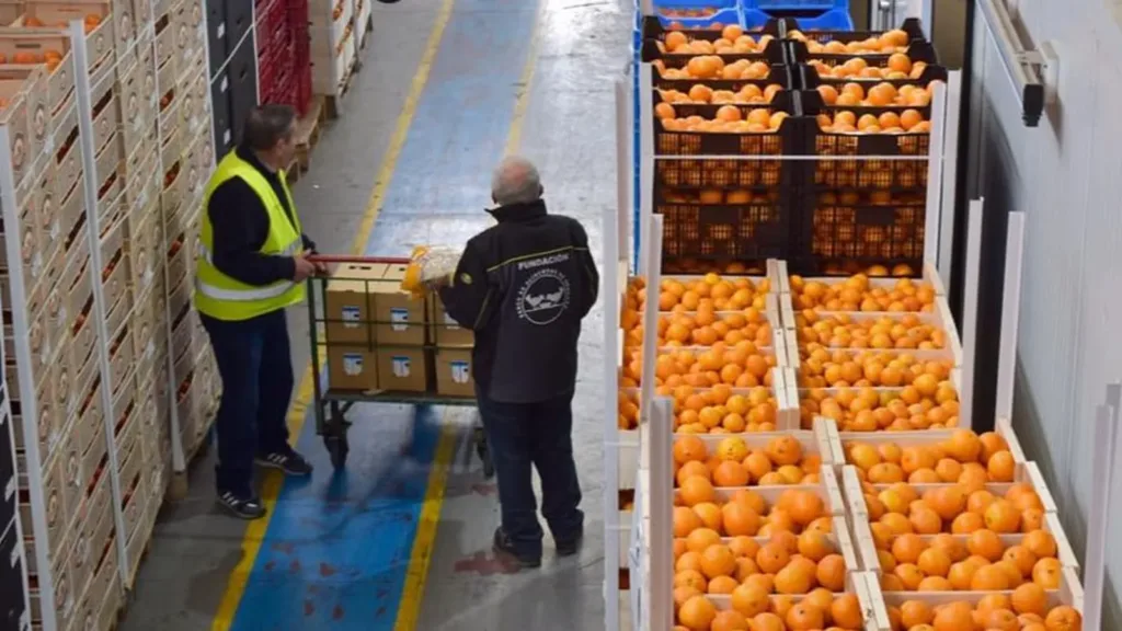 Imagen de archivo del Banco de Alimentos de Granada / G. H.